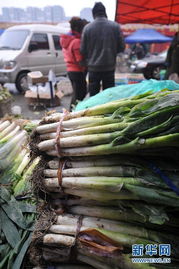 追蹤瘋狂的大蔥 經(jīng)銷商囤貨獲利千萬(wàn)背后