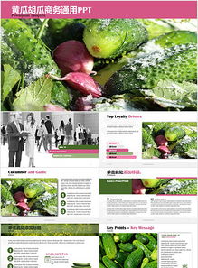 綠色果蔬營(yíng)銷推廣PPT 專業(yè)模板助力農(nóng)副產(chǎn)品高效銷售