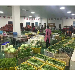 廣東萬(wàn)家歡農(nóng)副產(chǎn)品在線指南 品類概覽與銷售之道