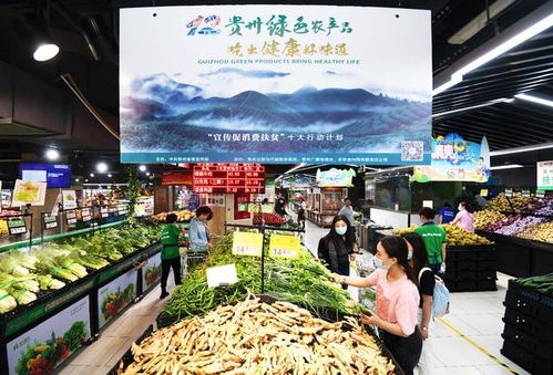 貴陽農(nóng)村電商 為鄉(xiāng)村振興插上“金翅膀”，暢通農(nóng)副產(chǎn)品銷售新渠道